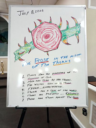 The Rose